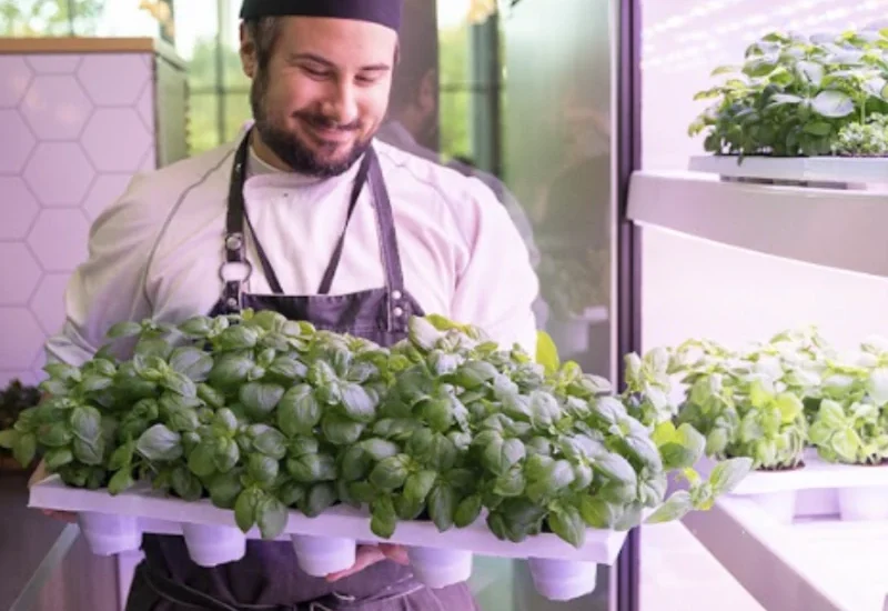 technologia-gronska-2