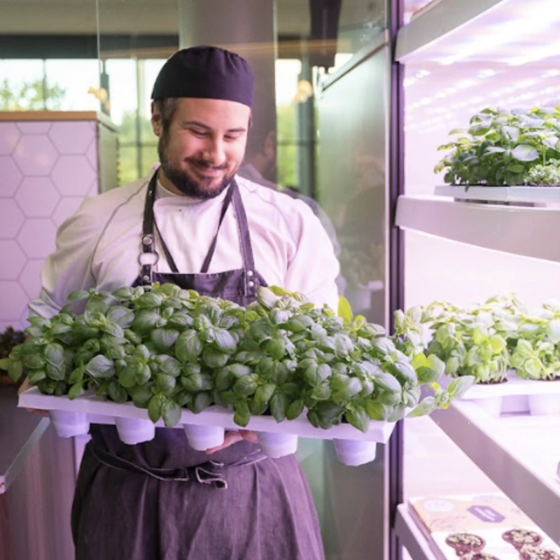 technologia-gronska-2