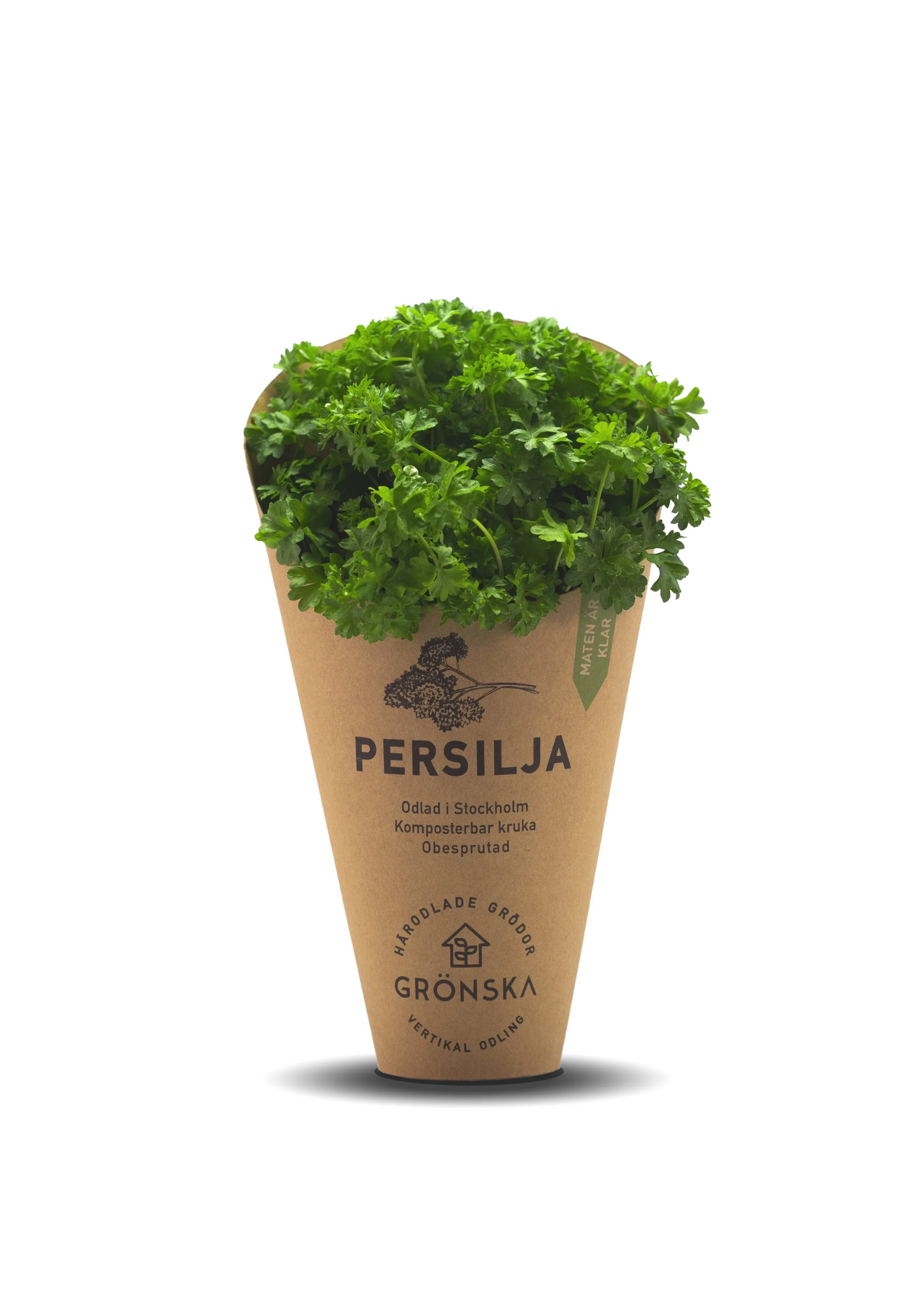 6-Pietruszka ozdobna